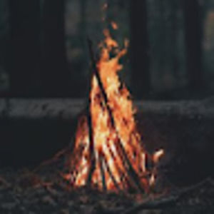 Meet your Posher, Timi